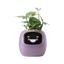 Tuya Ivy Smart Planter