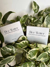 Rice Water Hair Shampoo & Conditioner Combo