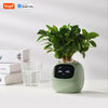 Tuya Ivy Smart Planter