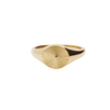 Stainless Steel Sunburst Signet Ring - Gold