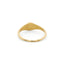 Stainless Steel Oval Sunburst Signet Ring - Gold