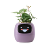 Tuya Ivy Smart Planter