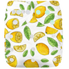 Reusable Cloth Nappies - One Size Fits 3-17kg with Bamboo Insert